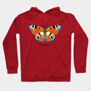 Peacock butterfly Hoodie